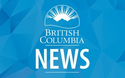Limitation Periods Suspended During Pandemic